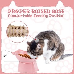 3 Pcs Elevated Cat Bowls 15°Raised Cat Food Bowl with Silicone Mat … Fast