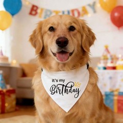 Adjustable Reversible Dog Birthday Boy Bandana Collar, Premium Durable Fabric…