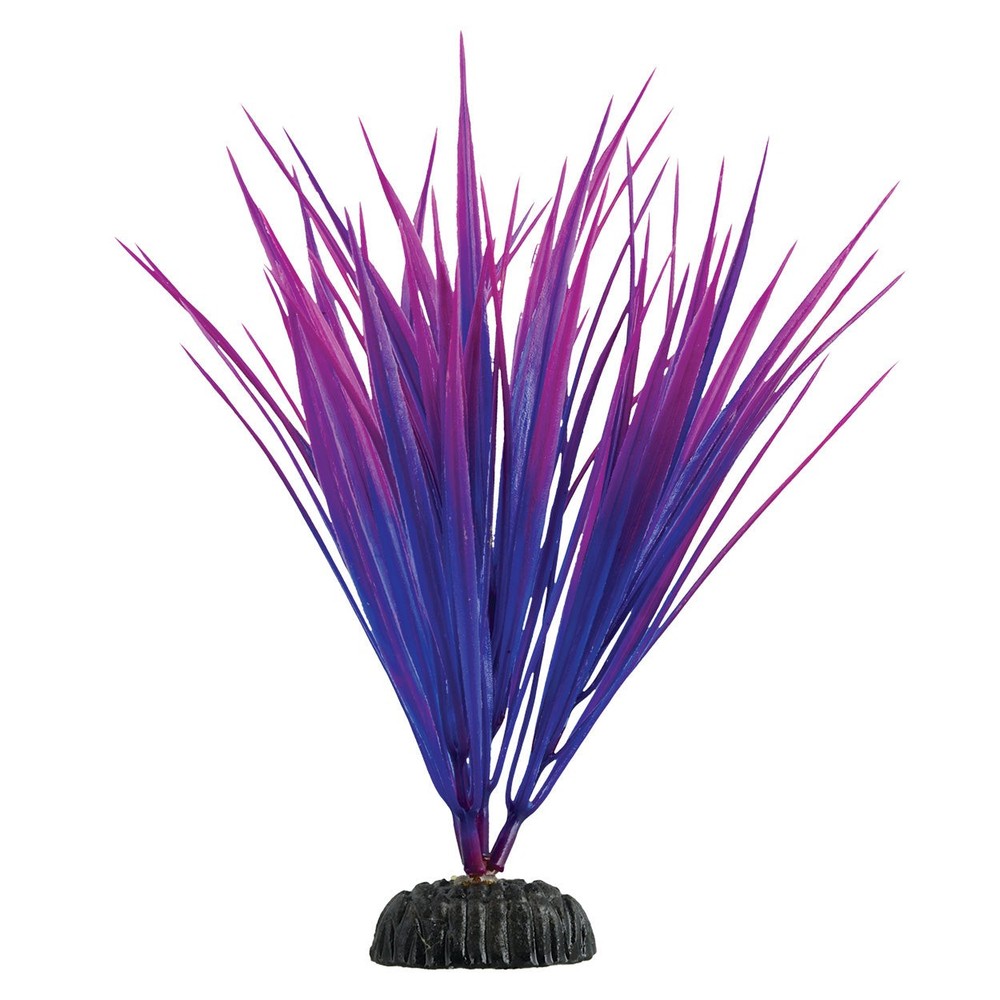Underwater Treasures Purple Nile Grass Plant Select Size:: 8 inch