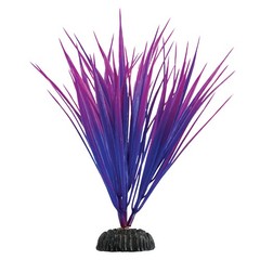 Underwater Treasures Purple Nile Grass Plant Select Size:: 8 inch