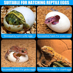 16 Grids Reptile Egg Incubator Box Turtle Lizard Gecko Snake Hatching Container