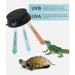 Small Full Spetrum LED UVA UVB Reptile Light with Dimmer & Cycle Timer for Be…