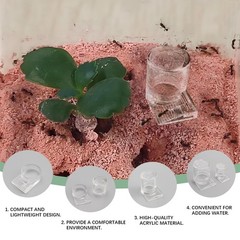 2pcs Mini Ant Water Feeder – Transparent Liquid Feeding Bowls for Ant Farms S…