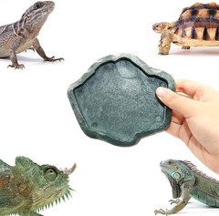 Small Reptile Food and Water Dish Bowl