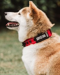 2-Pack Waterproof Collar Sleeves Fits 3/4 Inch Wide Service Dog Small Slide On