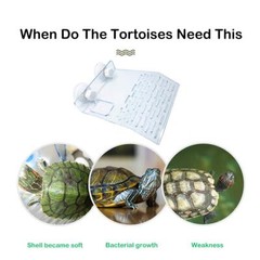 Large Basking Platform for Turtles Aquarium Dock Floating Turtle Tank Ramp Tu…