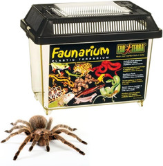 Faunarium Small PT2255 – Plastic Reptile Terrarium and Transport Container for L