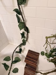 Reptile Habitat Accessories Bundle for Terrarium