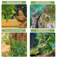 PINVNBY Reptile Plants 6pk Hanging Suction Cup