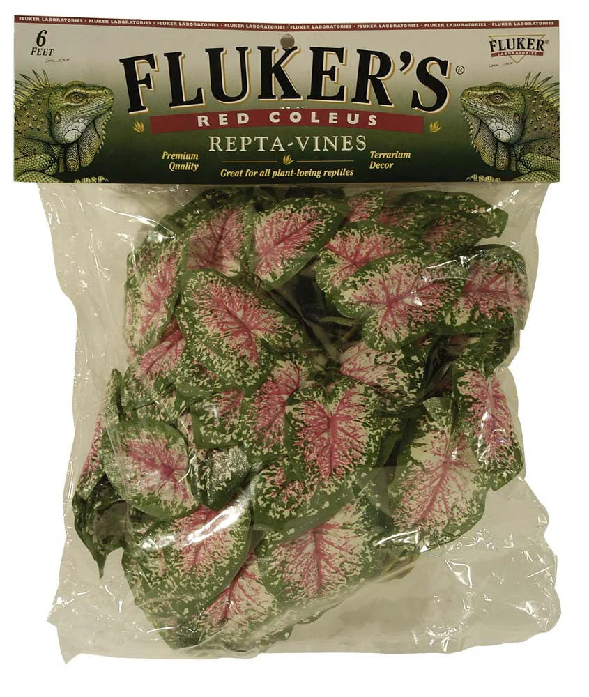 Fluker’s Red Coleus Repta-Vines Green, Red 1ea/6 ft