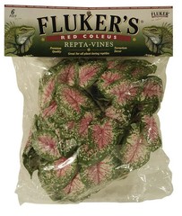 Fluker’s Red Coleus Repta-Vines Green, Red 1ea/6 ft