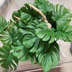 Reptile Plants for Terrarium Decor,Amphibian Habitat Decor,Artificial Plants …