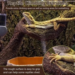 BNOSDM 2PCS Natural Reptile Climbing Branches Decor,1.8-2.2″ Thick Natural Sn…