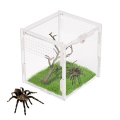 Acrylic Jumping Spider Enclosure Reptile Terrarium Habitat 3.7×3.5×3.5 Inch