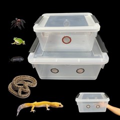 2pcs Large Reptile Feeding Box Snake Breeding Plastic Tank clear