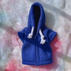HAICHEN TEC Lizard Clothes Hoodie for Bearded Dragon Reptile Apparel Blue