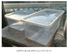 5pc Crested Gecko Stackable Cage (Small-Medium) with Lid – Transparent