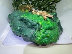 Multi use Magnetic Hides For Terrariums And Cages