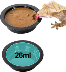 Magnetic Reptile Ledge, Acrylic Gecko Feeding Ledge with 6PCS Cups, Reptile Food