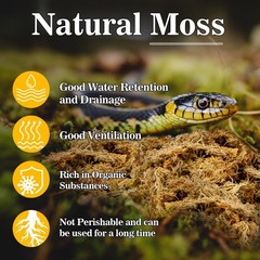 RAINFLOW Sphagnum Moss for Reptiles – 5.6 OZ Reptile Peat Terrarium…