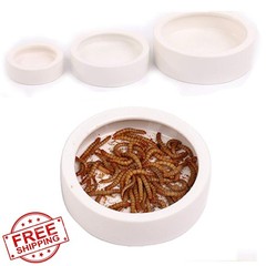 Reptile Food Water Bowl, 2 pcs Ceramics Worm Dish ,Anti-Escape Reptile Water …