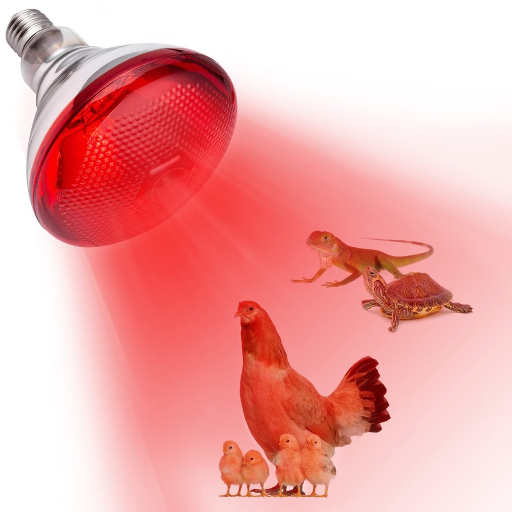 Heat Lamp for Chickens Coop Brooder and Reptile Heat Bulb 150 Watt Infrared R…