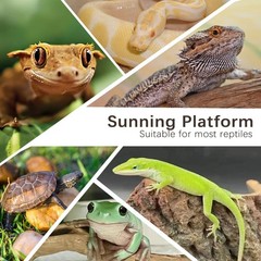 Bearded Dragon Basking Platform,8×4×2.4inch Reptile Heat Storage Slate Stone …