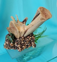 HANDCRAFTED TERRARIUM REPTILE HABITAT DECOR WITH NATURAL DRIFTWOOD & ROCKS
