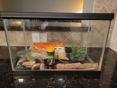 5.5 Gal Reptile Tank w/Imagitarium Breakout Blocker Screen Cover -xtras included