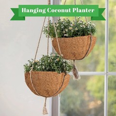 Riare 4 Pack 10 Inch Round Coco Liners Replacement, 100% Natural Coconut Coir…
