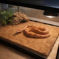 6-Pack Natural Coconut Fiber , 12×12 Inch Eco-Friendly Terrarium Liner & Bedd…