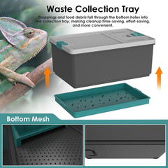 Self-Cleaning Reptile Feeder Insect Habitat with Escape-Proof Lid, Removable Cli