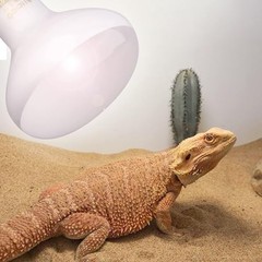 Aiicioo Reptile Basking Light Bulb – 150W Reptile Heat Lamp 2 Pack UVA Daylight