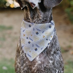 Hanukkah Menorah Dog Bandana Slip On Collar Scarf Holiday Gifts Design White