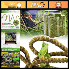 Reptile Decor Set – 10FT Bendable Climbing Vine & 4oz Natural Dried Moss for Ter