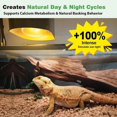 1 Pack 100W Reptile Heat Lamp Bulbs, Full Spectrum UVA/UVB Reptile Light Bulb an