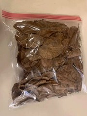 Orchid Leaf Litter 2.5 oz