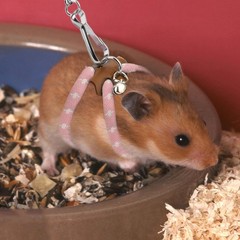 Hamster Adjustable Training Lead Leash Nylon for Hamster Rat Squirrel Gerbil …