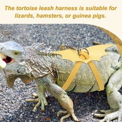 Tortoise Leash Harness with Bell Wings, ( Leather, Small, Pink )