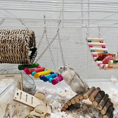 3 PCS Hamster Hanging Hammock Basket Wooden Rat Ladder Swing Set Cage Climbing