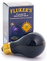 Reptile, Flukers Black Nightlight Incandescent Bulb (100 Watt)