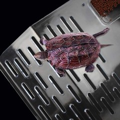 Turtle Habitat Platform 9.45 Inch Clear Acrylic Basking Space for Active Turtles