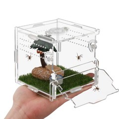 Reptile Terrarium,Tarantula Enclosure,Jumping Spider Enclosure for Tarantula …