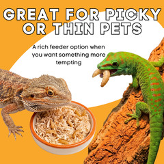 500 Live Wax Worms Feeder Insects for Reptiles Amphibians Birds & More