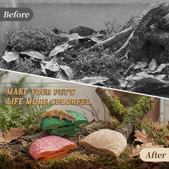 Mushroom Reptile Ledge| Tree Frog Terrarium Tank Accessories, Crested Gecko Tank