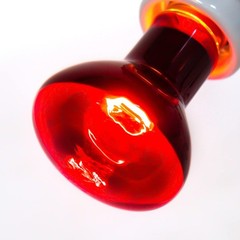 75W Reptile Heat Lamp Bulb 2PCS Infrared Heat Emitter Red Heat Lamp for Repti…