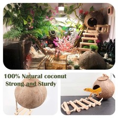 10PCS Crested Gecko Tank , Reptile Plants Bridge Vines, Coconut Shell with La…