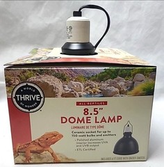 New Thrive 8.5″ Dome Lamp