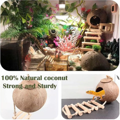 10PCS Crested Gecko Tank Accessories Set – Natural Double Coconut Shell with Lad