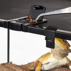 3 Count Cage Lock for Reptile Aquarium Tank Latches Reptiles Clamps